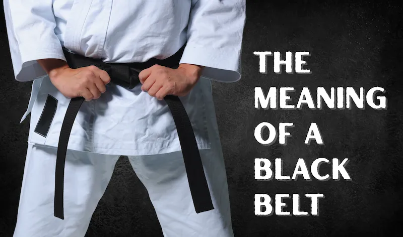 Karate Black Belt Figure