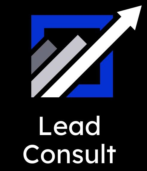 Lead Consult Logo